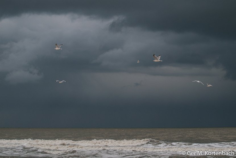 Zeegezicht bij Callantsoog