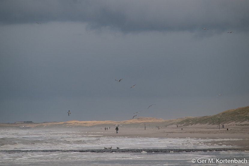 Zeegezicht bij Callantsoog