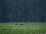 GMK-20160525-C5253345-2.jpg