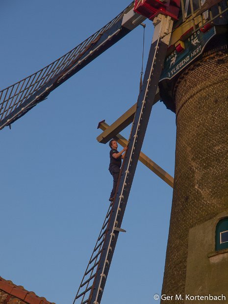 Molen 't Vliegend Hert - 's-Gravendeel