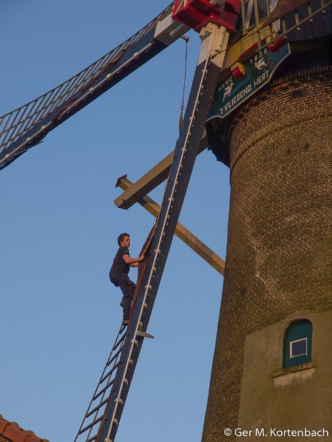 Molen 't Vliegend Hert - 's-Gravendeel