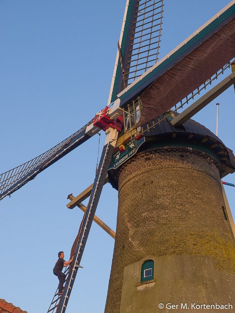 Molen 't Vliegend Hert - 's-Gravendeel