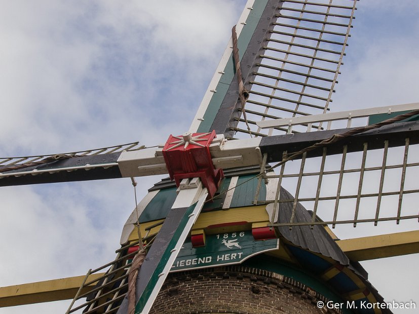 Molen 't Vliegend Hert - 's-Gravendeel