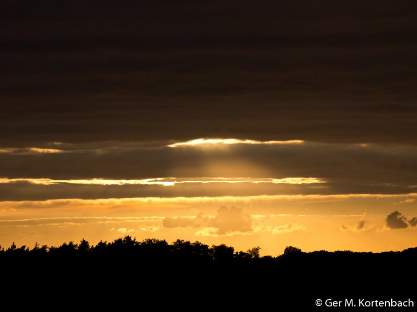 Zonsondergang boven De Biezen (Kroondomeinen)