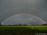 Selectie Natuurfoto's