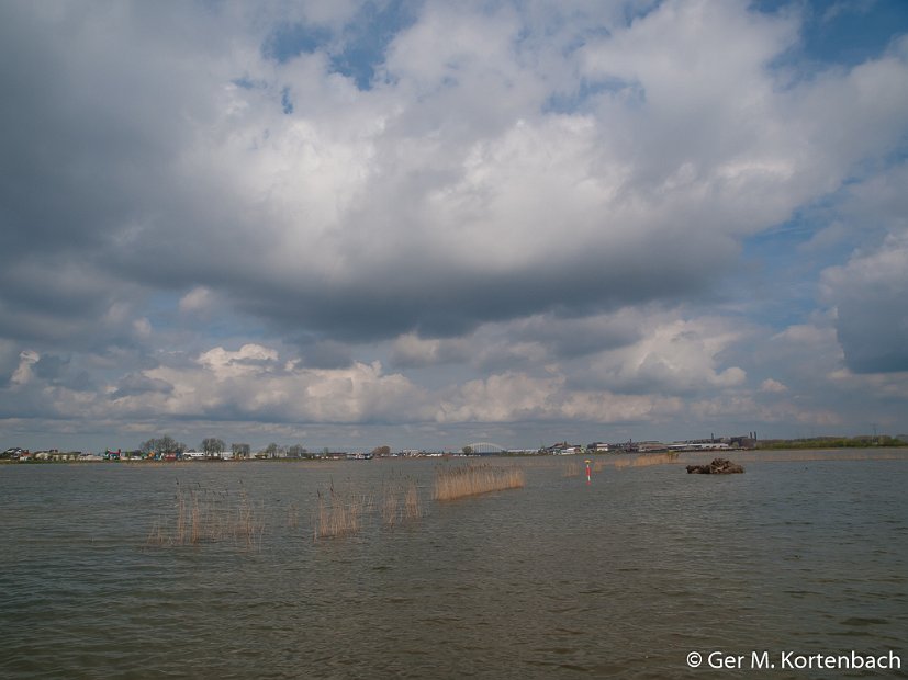 Hoog water in de Sophiapolder