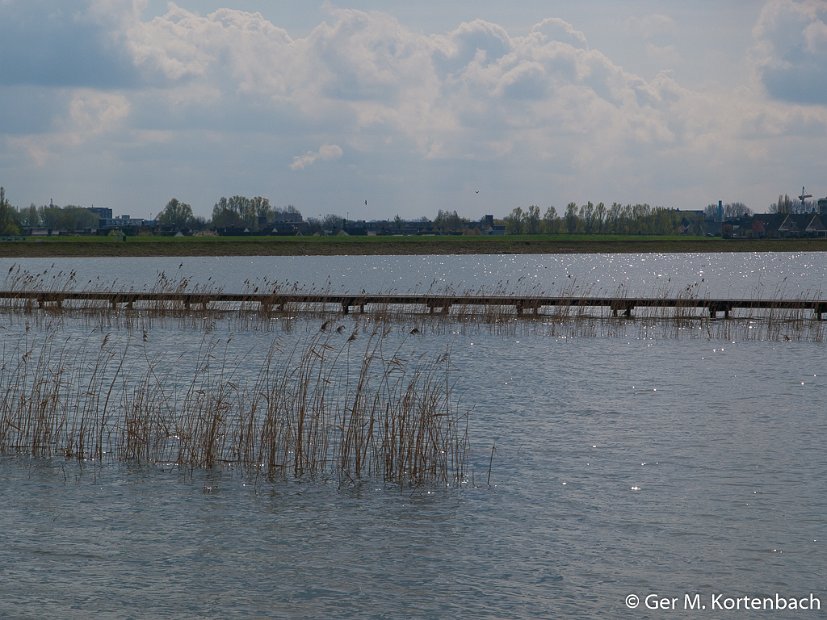 Hoog water in de Sophiapolder