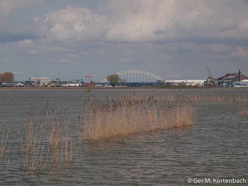 Hoog water in de Sophiapolder