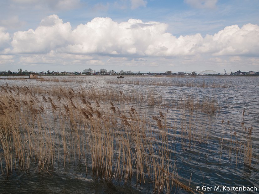 Hoog water in de Sophiapolder