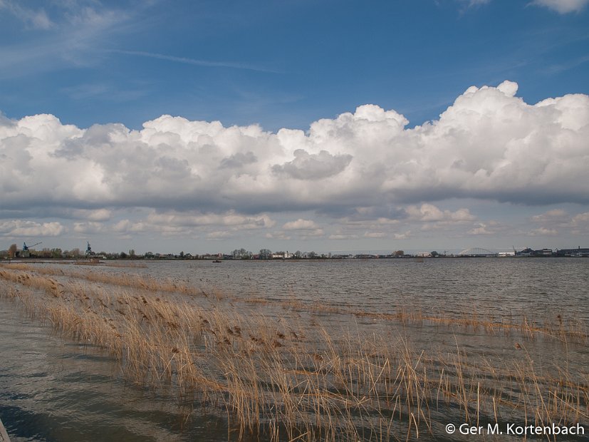 Hoog water in de Sophiapolder