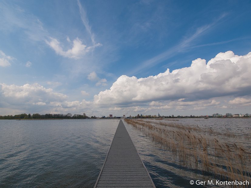 Vlonder door de Sophiapolder bij hoog water