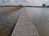 GMK-20120414-A4145332.jpg