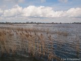 GMK-20120414-A4145355.jpg