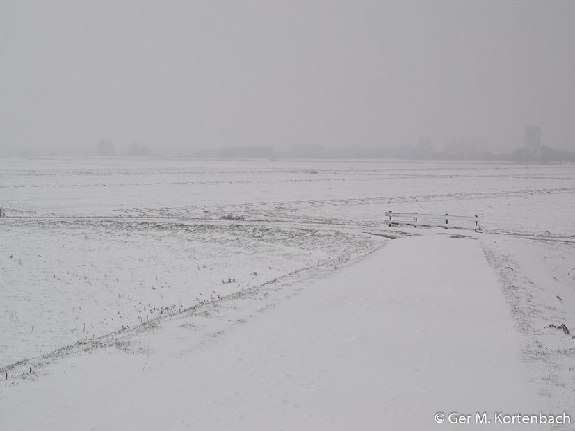 Polder Groot Koninkrijk in de winter