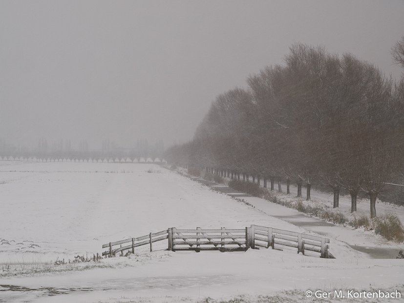 Polder Groot Koninkrijk in de winter