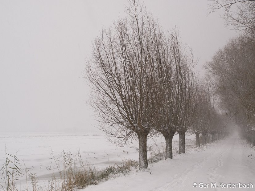 Polder Groot Koninkrijk in de winter