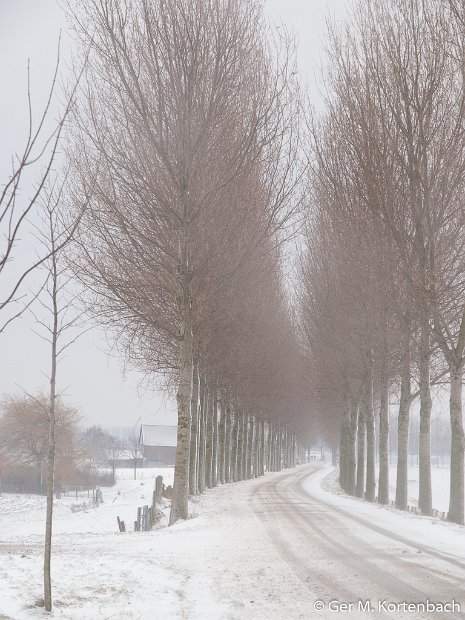 De Molendijk in de winter