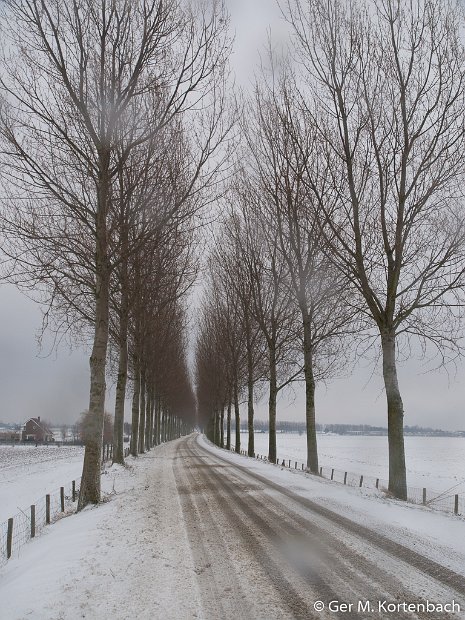 De Molendijk in de winter