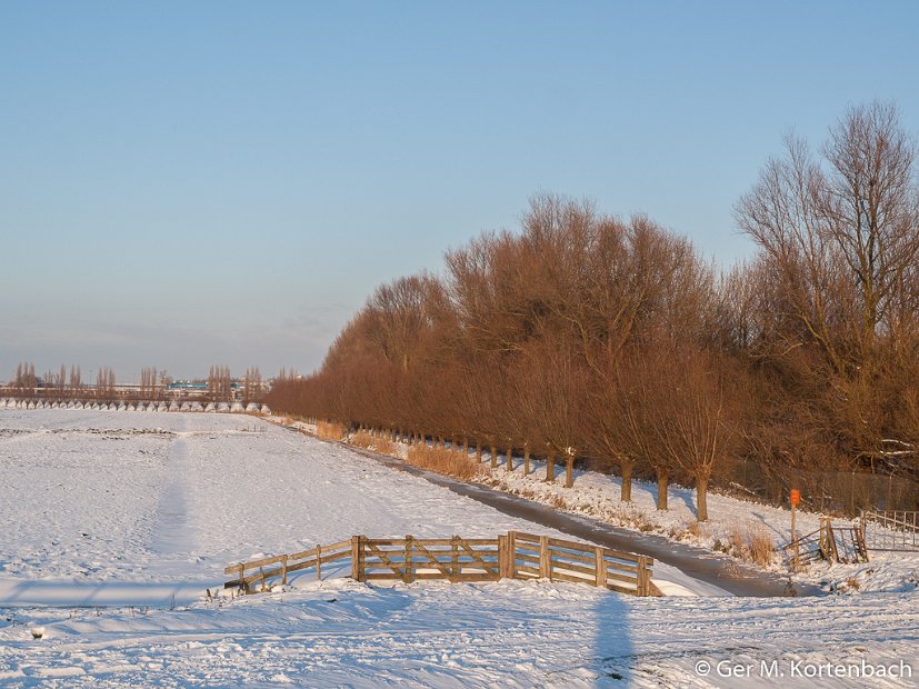 Polder Groot Koninkrijk in de winter