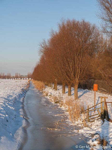 Polder Groot Koninkrijk in de winter