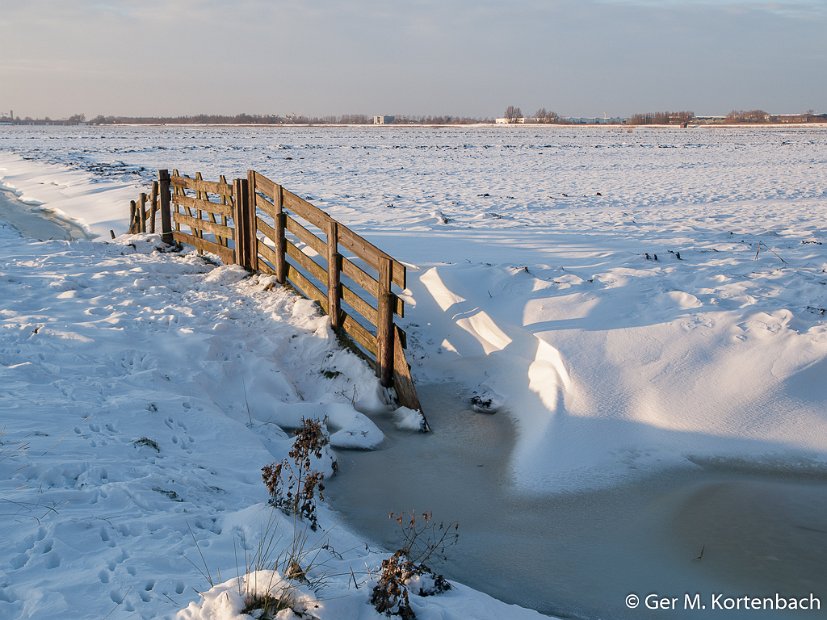 Polder Groot Koninkrijk in de winter