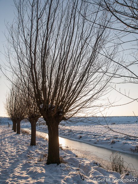 Polder Groot Koninkrijk in de winter