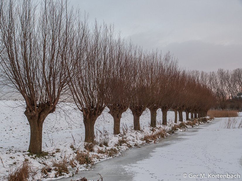 Polder Groot Koninkrijk in de winter