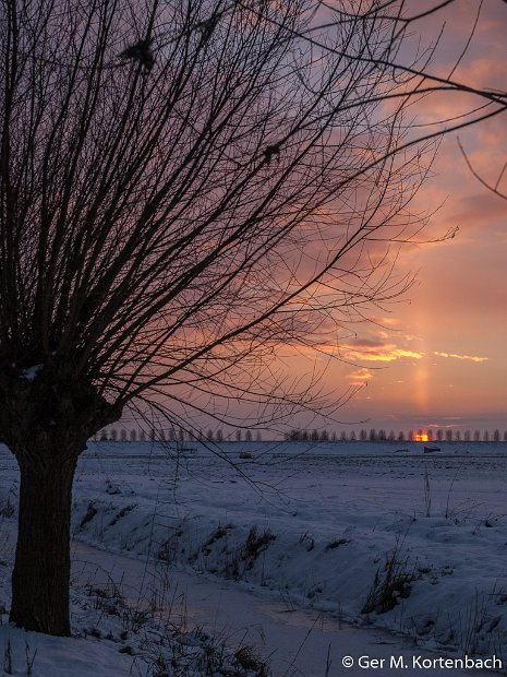 Polder Groot Koninkrijk in de winter