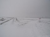 Winter in de Hoeksche Waard